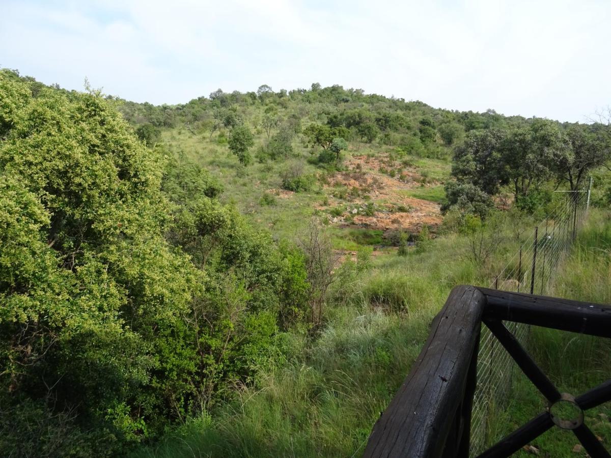 Schrikkloof Private Nature Reserve, Home Of The Lions Foundation 贝拉贝拉 外观 照片